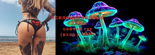 герыч Лиски