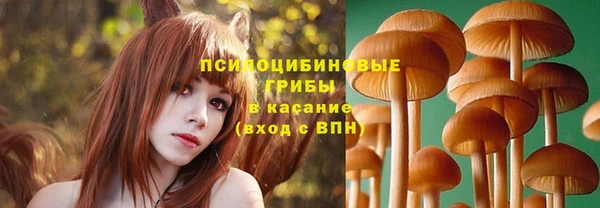 PSILOCYBIN Лихославль
