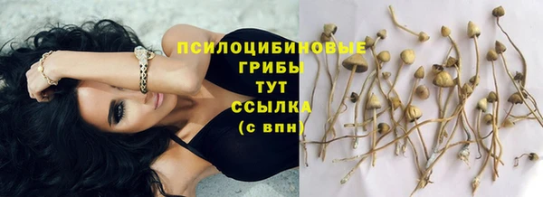 apvp Липки